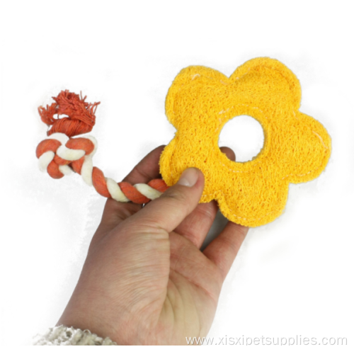 natural non-toxic cotton loofah sponge dog teeth cleaning
